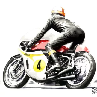 Mike Hailwood (Bray Hill)
