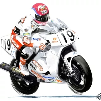 Steve Hislop (Norton)