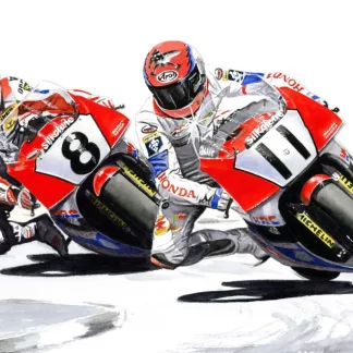 Steve Hislop and Carl Fogarty