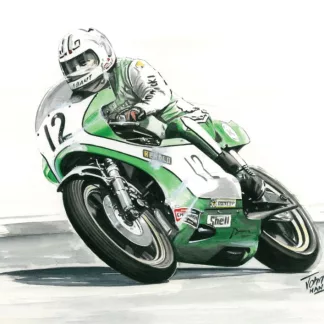 Mick Grant (Kawasaki)